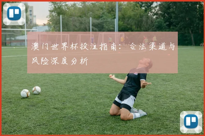 澳门世界杯投注指南：合法渠道与风险深度分析