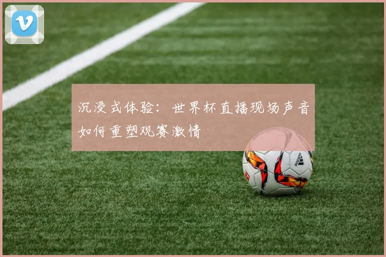 沉浸式体验：世界杯直播现场声音如何重塑观赛激情