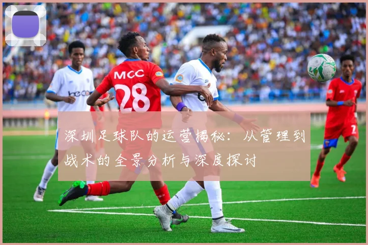 深圳足球队的运营揭秘：从管理到战术的全景分析与深度探讨