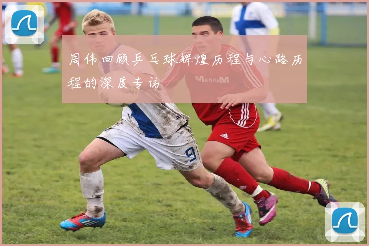 周伟回顾乒乓球辉煌历程与心路历程的深度专访